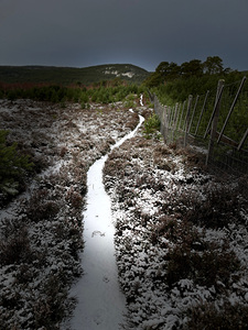 Scenes from the Trail- Snowy Path